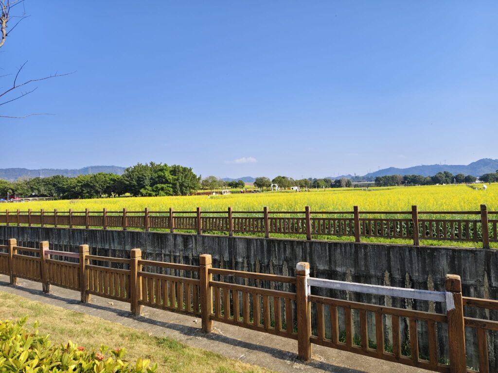 快閃北上（下） | 好好戀愛學堂 | 婚前輔導 | 戀愛顧問