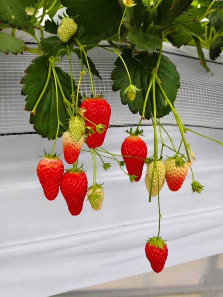 60歲的特別旅程 | 好好戀愛學堂 | 婚前輔導 | 戀愛顧問