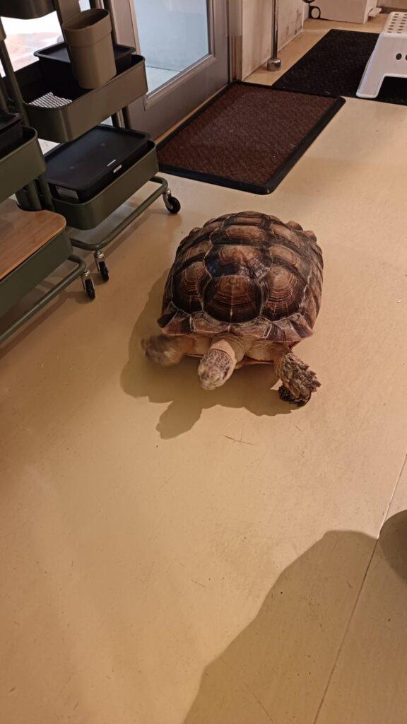 60歲的特別旅程 | 好好戀愛學堂 | 婚前輔導 | 戀愛顧問