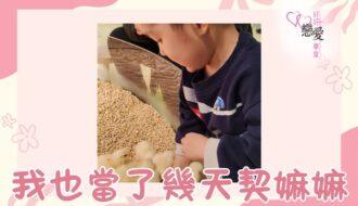 婚前輔導, 戀愛、兩性及婚姻關係, 家庭教育, 單身成長, 杜婉霞Joanna - 我也當了幾天契嫲嫲