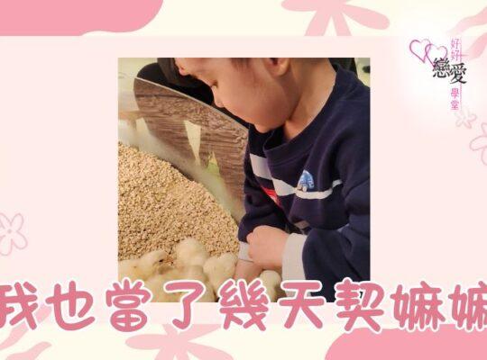 婚前輔導, 戀愛、兩性及婚姻關係, 家庭教育, 單身成長, 杜婉霞Joanna - 我也當了幾天契嫲嫲